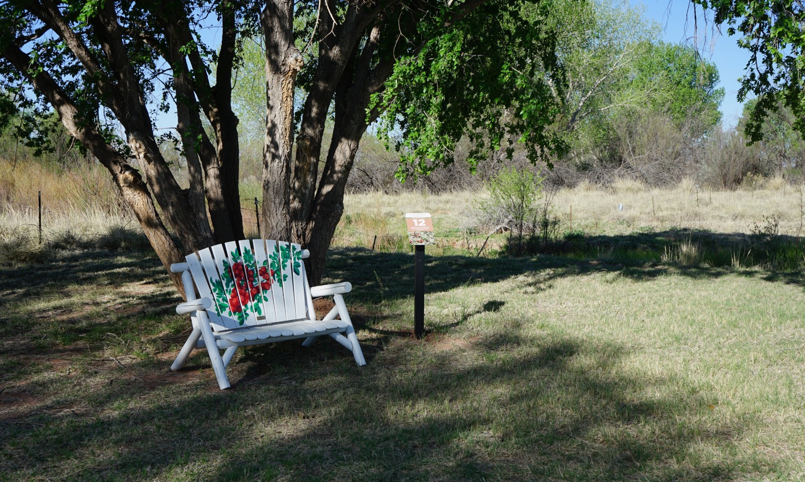 Bosque Redondo Memorial Natural Trail Audio Tour Stop 12 beside painted bench and trees.