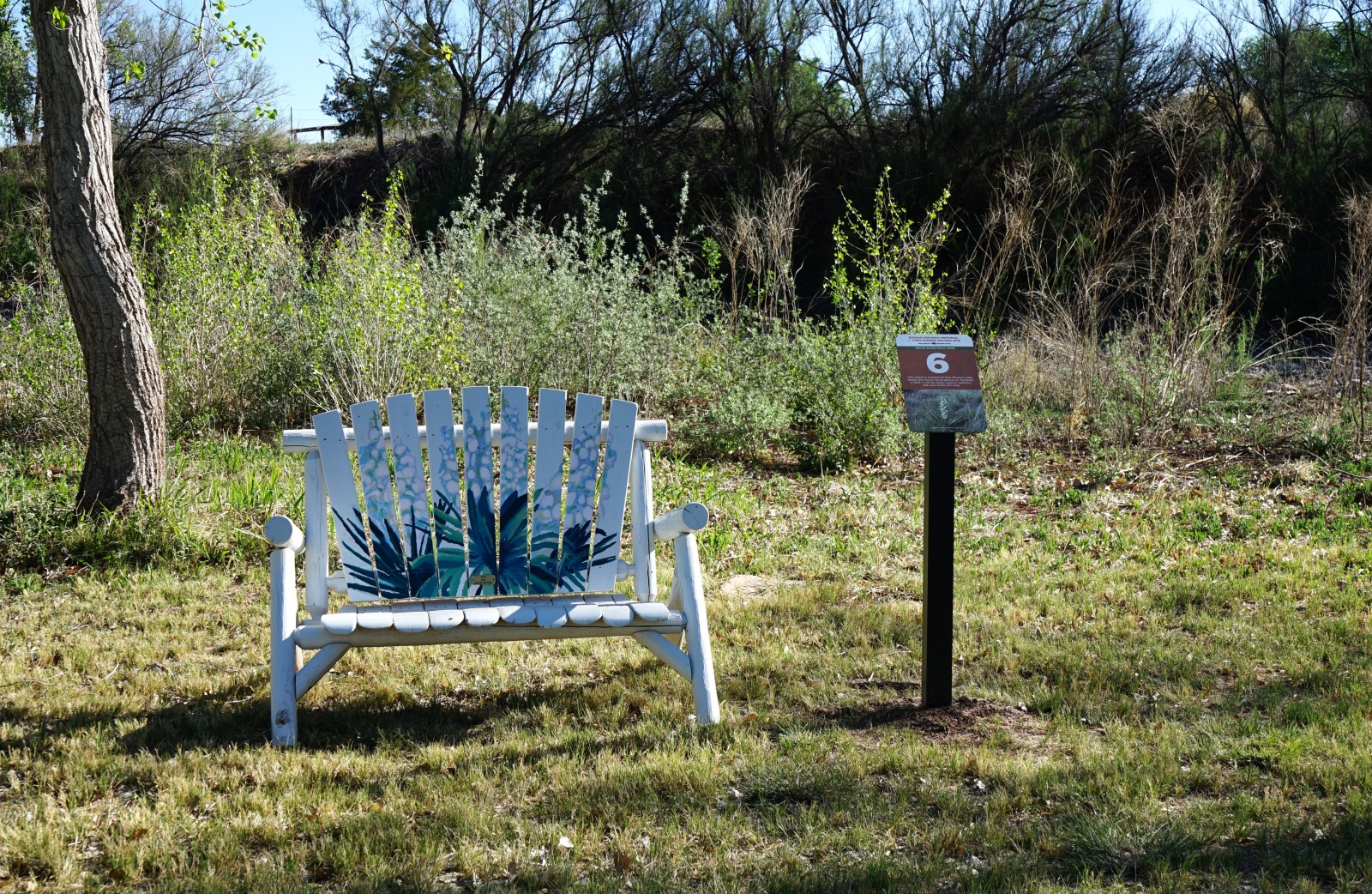 Bosque Redondo Memorial Natural Trail Audio Tour Stop 6 beside painted bench and cottonwood trees.