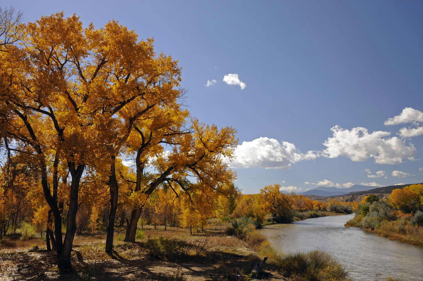 Fall on the Rio Grande at Los Luceros - Photo by Gene Peach