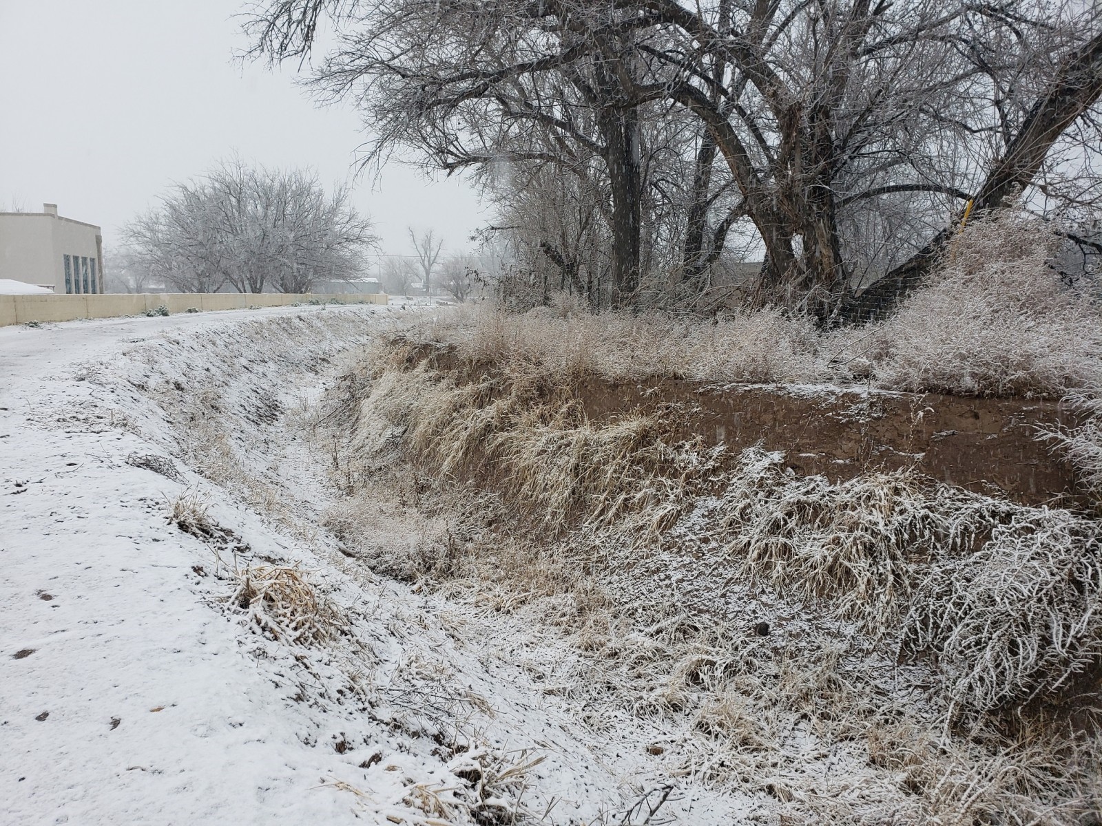 Snow covers Mesilla's acequia madre (main irrigation ditch) to the west of the Taylor-Mesilla Historic Property.