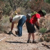 Volunteers fixing up the trail through Coronado.
