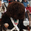Traditional dance performed by the Piro-Manso-Tiwa people at the Camino Real Historic Trail Site's ''Piro Homecoming'' event in 2012.